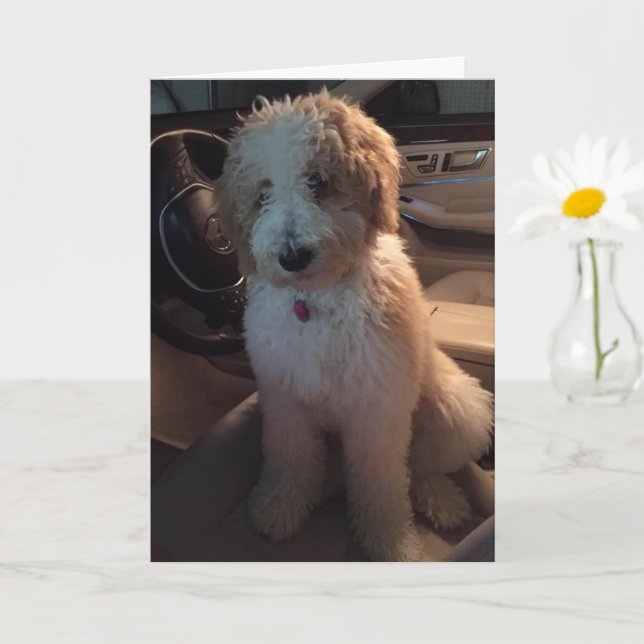I WOULD DRIVE FOR MILES TO SAY HAPPY BIRTHDAY CARD (Small Plant)
