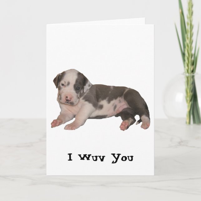 I Wuv You Card (Front)