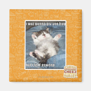 I wuz gunna giv yoo hug magnet