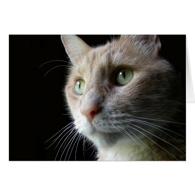 Ian O'Reilly (Front Horizontal)