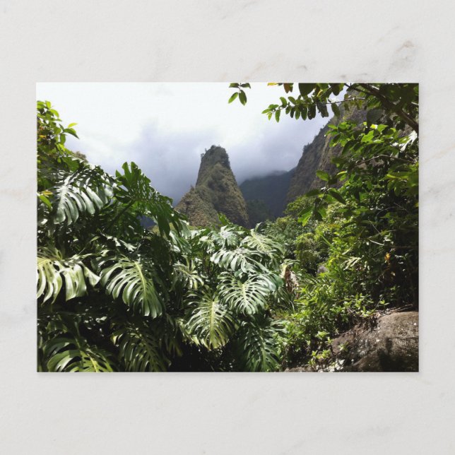 Iao Needle in Iao Valley State Park, Maui, Hawaii Postcard (Front)