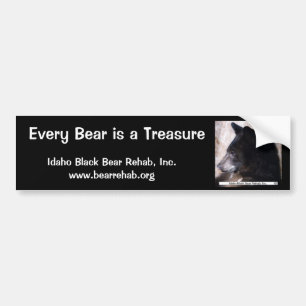 IBBR Bumper Sticker - Ruggles