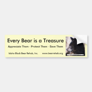 IBBR Bumper Sticker - Ruggles
