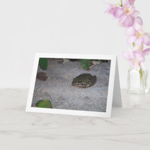 Iberian Frog Card