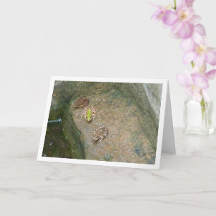 Iberian Frogs Card