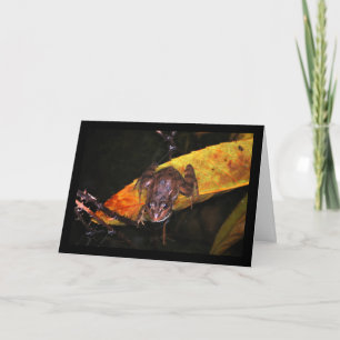 Iberian Water Frog on Leaf Card