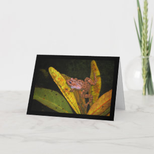 Iberian Water Frog Portrait Card