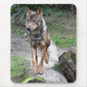 iberian wolf mouse pad