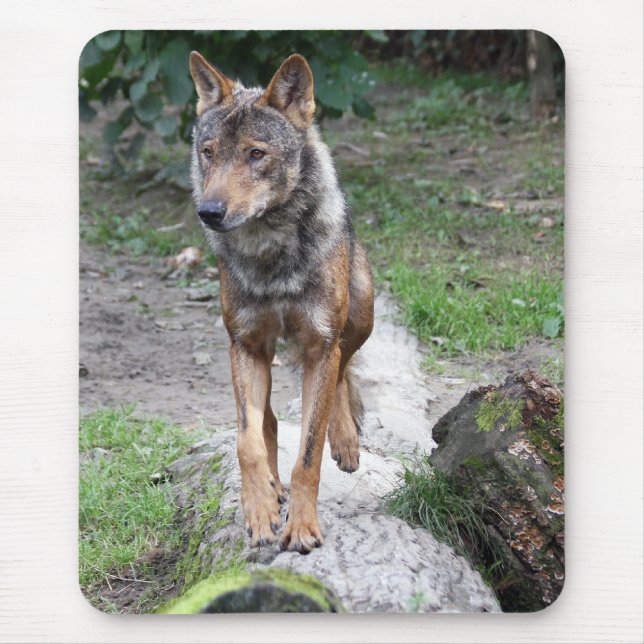 iberian wolf mouse pad (Front)
