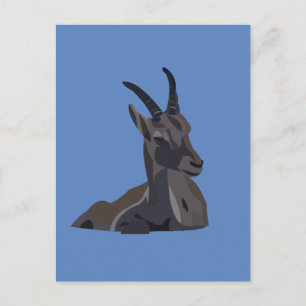 Ibex Goat Animal Art Goat Postcard