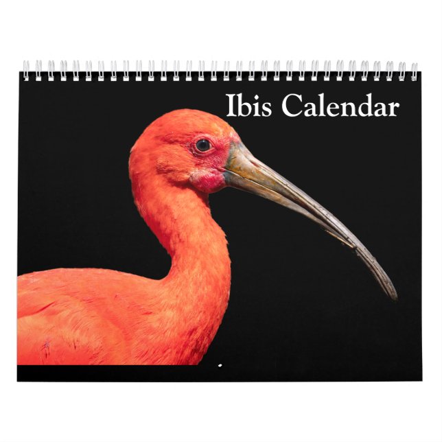 Ibis 2025 Calendar (Cover)