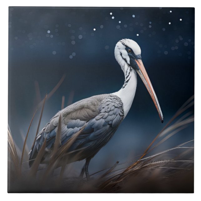 Ibis at midnight tile (Front)