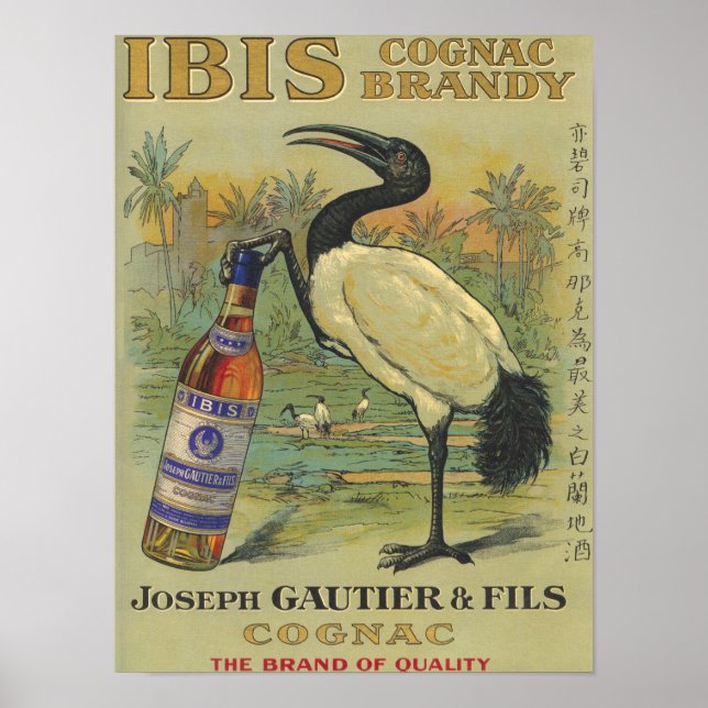 Ibis Cognac - Joseph Gautier & Fils Promo Poster (Front)