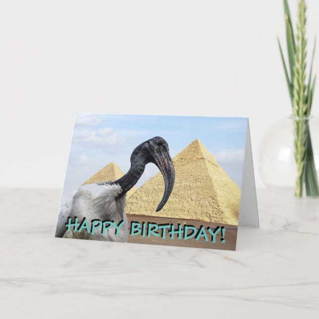 Ibis customizable birthday card (Front)