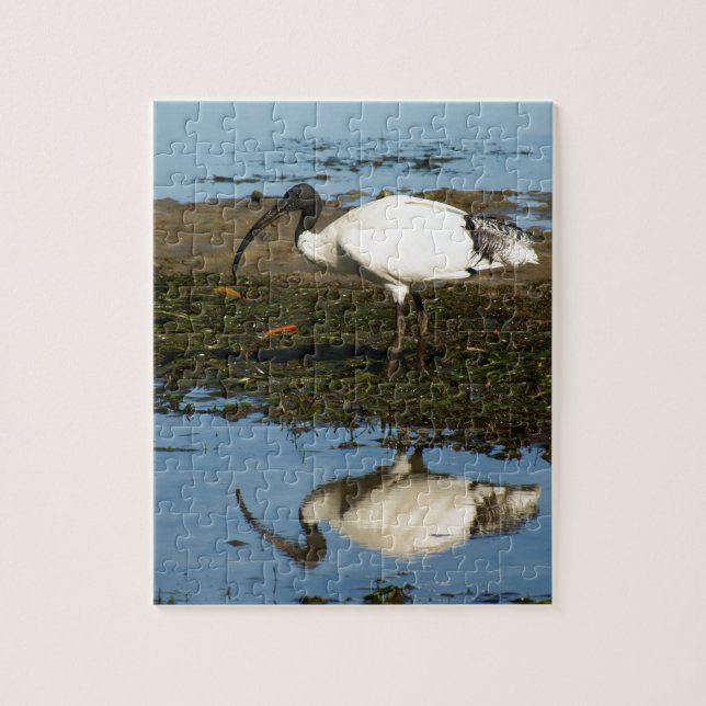 Ibis Jigsaw Puzzle (Vertical)