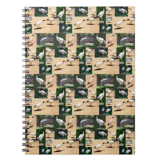 Ibis Photo Collage, Notebook (Front)