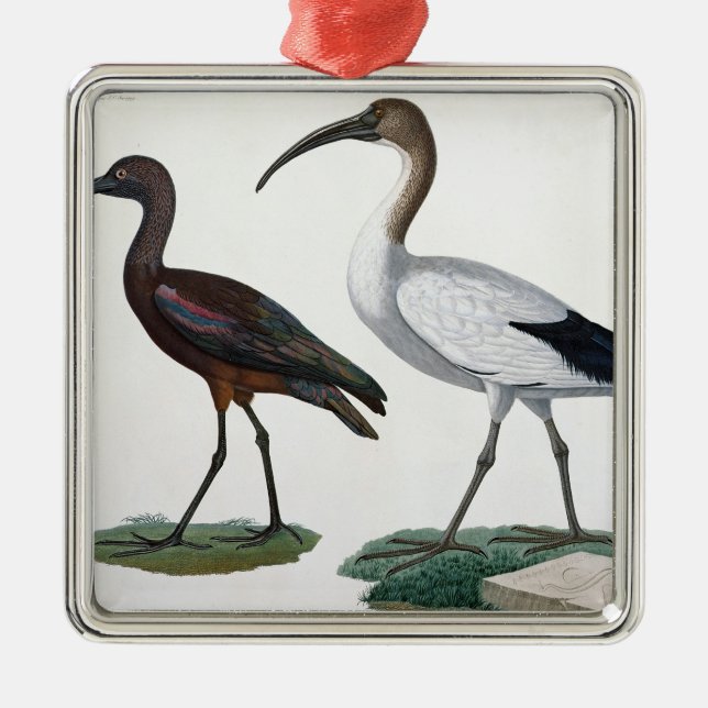 Ibises, from 'Description de l'Eypte', 1817 Metal Ornament (Front)
