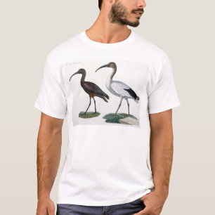 Ibises, from 'Description de l'Eypte', 1817 T-Shirt