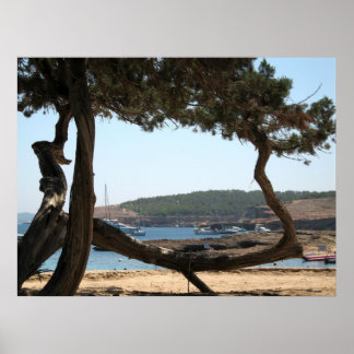 Ibiza Dreams Poster