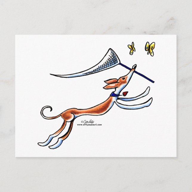 Ibizan Hound Butterflies Postcard (Front)