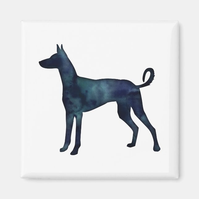 Ibizan Hound Dog Black Watercolor Silhouette Magnet (Front)