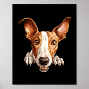 Ibizan Hound Dog Mom Dad Peeking Puppy Poster