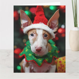 Ibizan Hound Elf Puppy Christmas Card