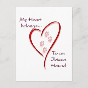 Ibizan Hound Heart Belongs Postcard