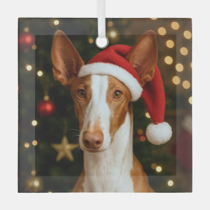 Ibizan Hound Holiday Glass Ornament