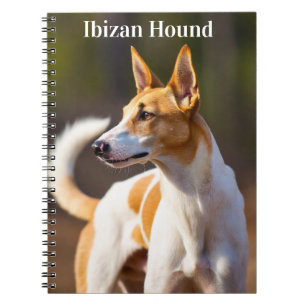 Ibizan Hound Notebook