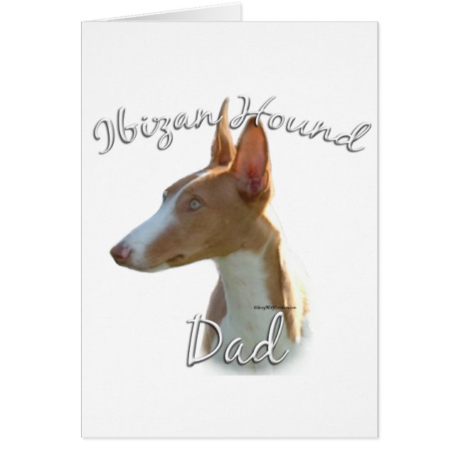 Ibizan Hound Papa 2 (Devant)