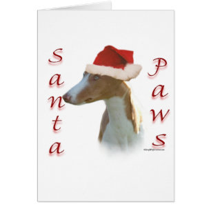 Ibizan Hound Père Noël Paws