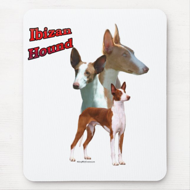 Ibizan Hound Trio 2 Mouse Pad (Front)