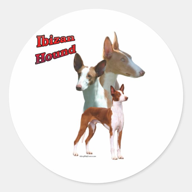 Ibizan Hound Trio 2 - Sticker (Front)
