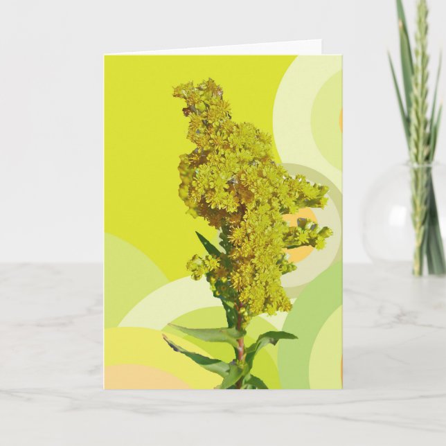 IBSP Beach Solidago (Goldenrod) Note Card (Front)