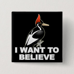 IBWO: I Want To Believe 2 Inch Square Button