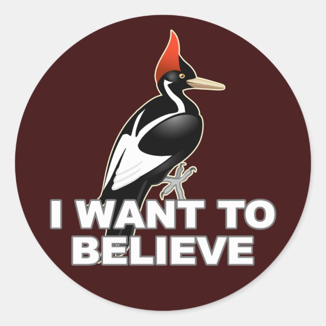 IBWO: I Want To Believe Classic Round Sticker (Front)