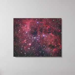 IC410 Emission Nebula in Auriga Canvas Print