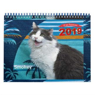 iCat Forever 2019 Calendar