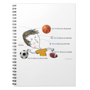 ICD-10: W21 Struck by Balls Notebook