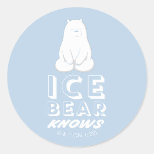 Ice Bear Knows Classic Round Sticker
