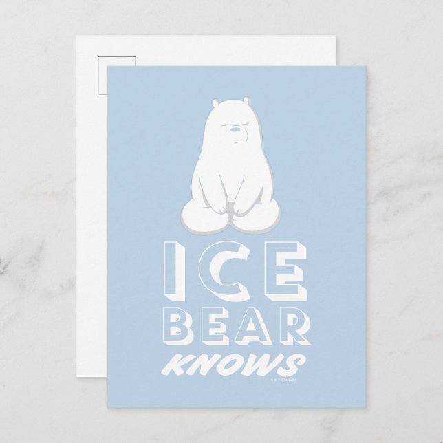 Ice Bear Knows Postcard (Front/Back)