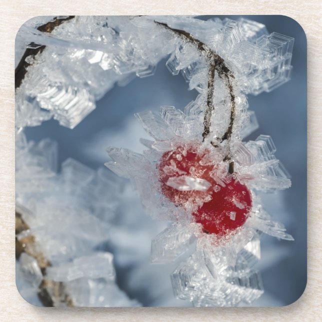 Ice Berries Coaster (Front)