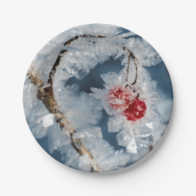 Ice Berries Paper Plate (Front)