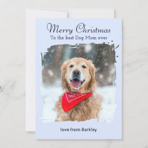Ice Blue Winter Dog Mom Custom Pet Photo Christmas Holiday Card