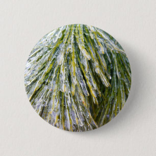 Ice Coated Pine Needles Winter Botanical 2 Inch Round Button