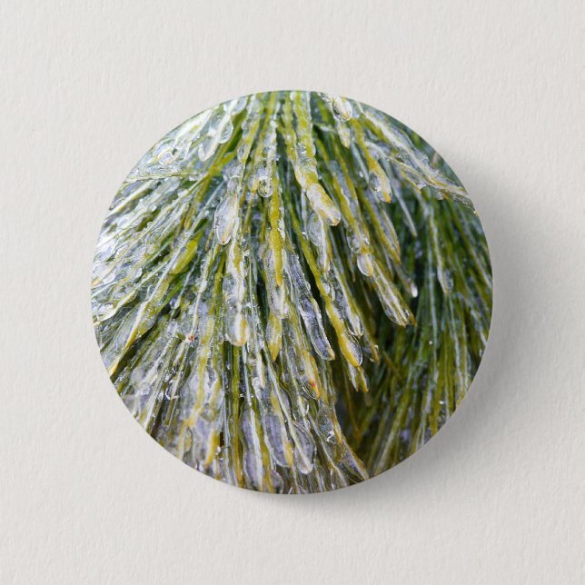 Ice Coated Pine Needles Winter Botanical 2 Inch Round Button (Front)