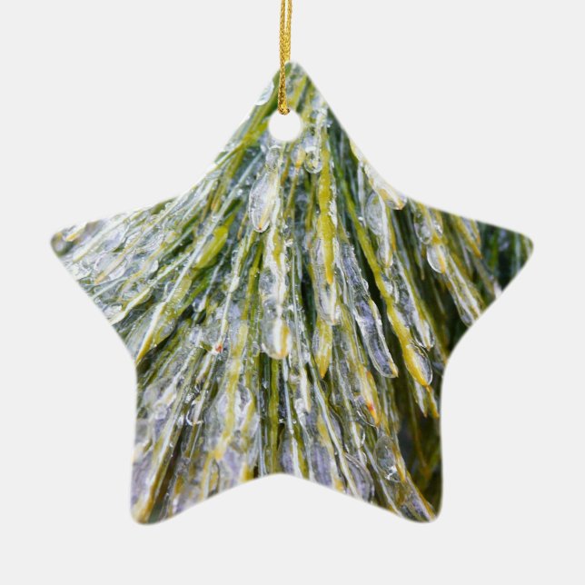 Ice Coated Pine Needles Winter Botanical Ceramic Ornament (Front)