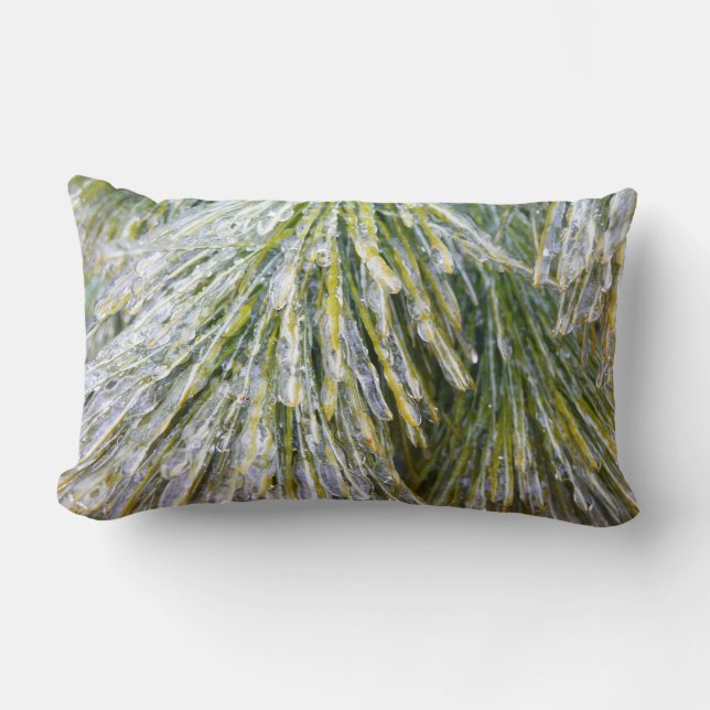 Ice Coated Pine Needles Winter Botanical Lumbar Pillow (Front)