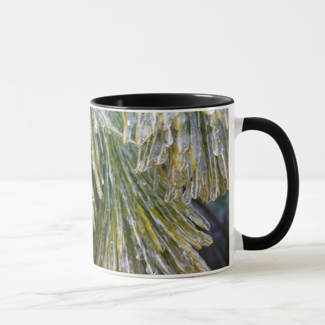 Ice Coated Pine Needles Winter Botanical Mug (Right)
